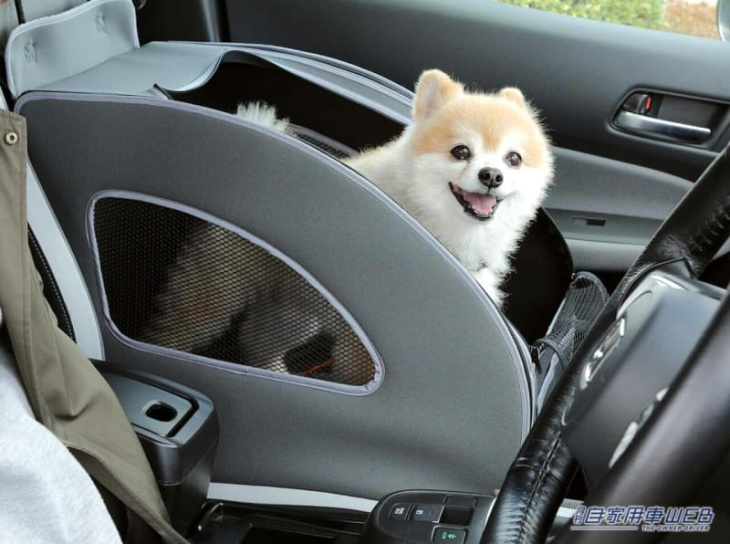 愛犬とのドライブがさらに楽しめる！honda dogカスタムのwr-vが「インターペット ～人とペットの豊かな暮らしフェア～」に出展